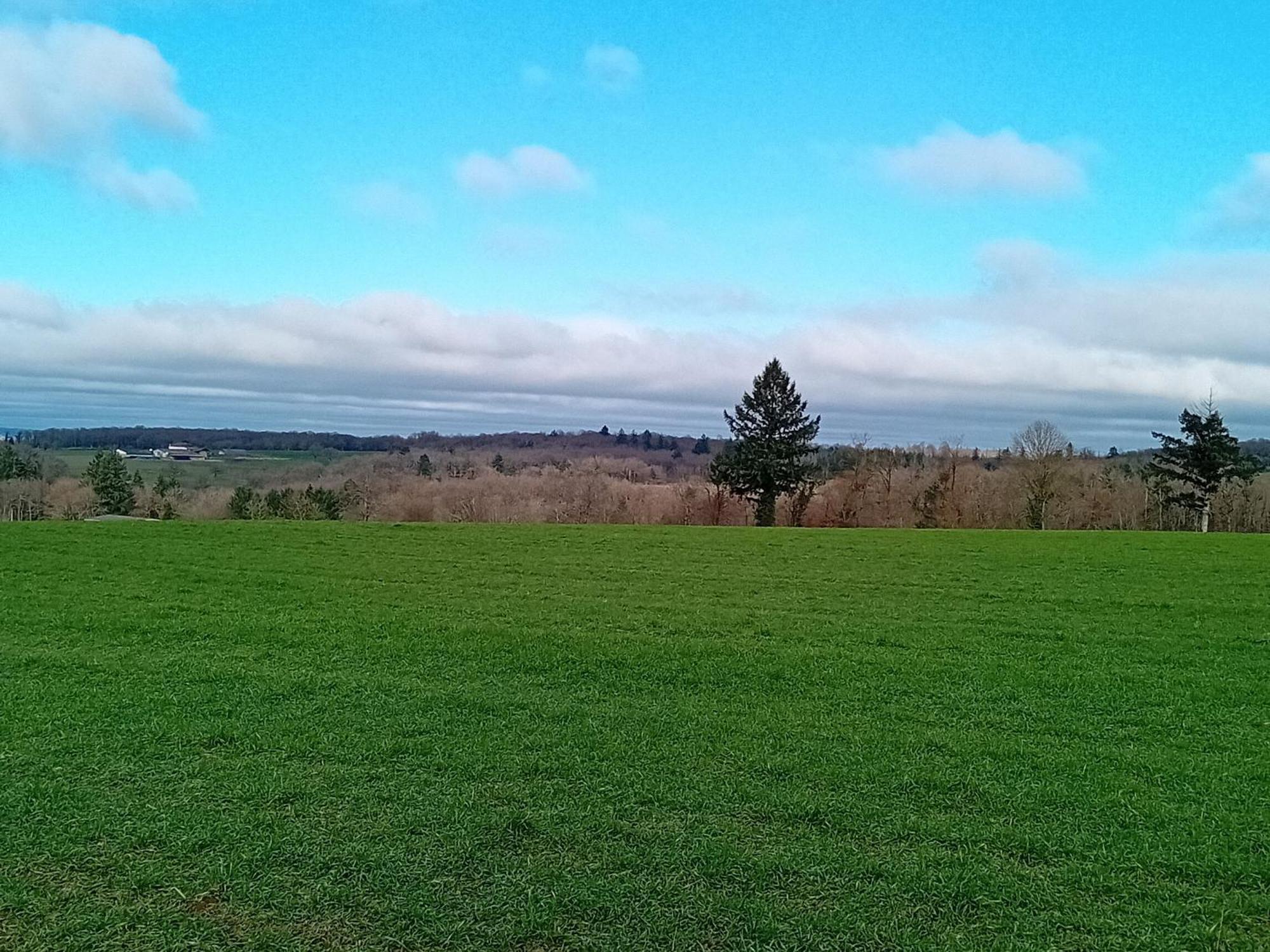 Tranquille Vienne Gites A Chirac Dept Charente Chirac (Charente) Exterior foto